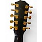 Used 2024 Taylor CUSTOM GP Black and White Acoustic Electric Guitar