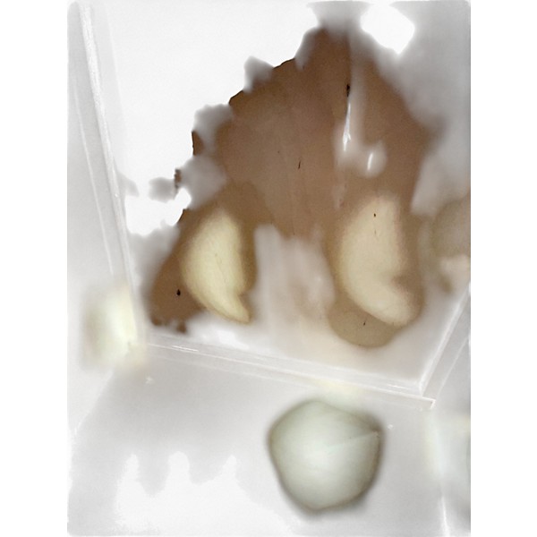 Used MEINL Woodcraft Cajon