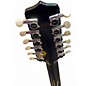 Used Takamine GCEF381C-T Black 12 String Acoustic Electric Guitar