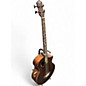 Used Michael Kelly DRAGONFLY MKD4S MASACAR EBONY Ebony Acoustic Bass Guitar