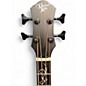 Used Michael Kelly DRAGONFLY MKD4S MASACAR EBONY Ebony Acoustic Bass Guitar