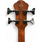 Used Michael Kelly DRAGONFLY MKD4S MASACAR EBONY Ebony Acoustic Bass Guitar