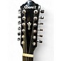 Used Ibanez AEG5012 Black 12 String Acoustic Electric Guitar