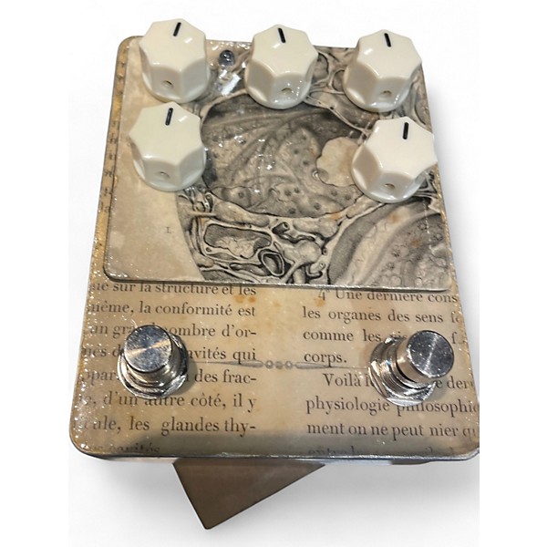 Used Bsri Soft Rains and the Smell of the Ground Textural Reverb Effect Pedal