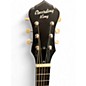 Used Recording King RM-997-VG Classic Copper Resonator Guitar