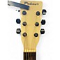 Used Palmer p38 white Acoustic Guitar
