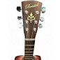 Used Bristol BF-15 Mahogany Acoustic Guitar