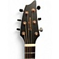 Used Breedlove RAINFOREST S CONCERT PA CE Black Acoustic Electric Guitar