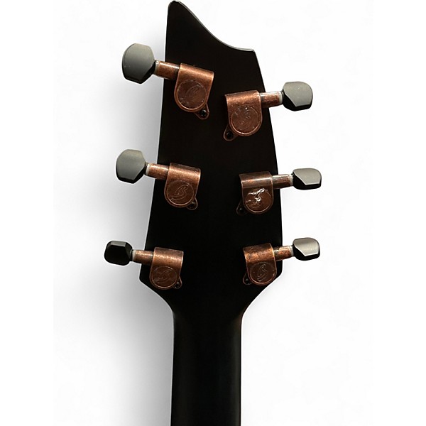 Used Breedlove RAINFOREST S CONCERT PA CE Black Acoustic Electric Guitar