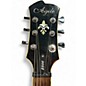 Used Agile 2500 Aztec Gold Solid Body Electric Guitar