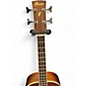 Used Ibanez PNB14E-OPN Natural Acoustic Bass Guitar
