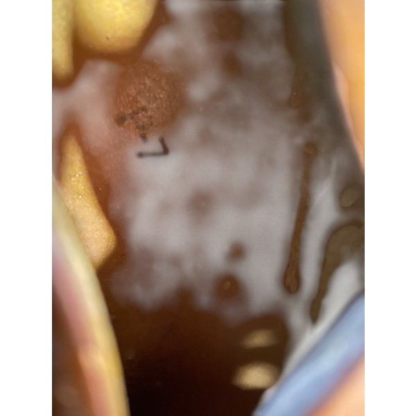 Used 1960s Kay 1960S WINGSTER 2 Color Sunburst Hollow Body Electric Guitar