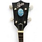 Used Rover RB-30 SILVER Banjo