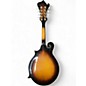 Used Jay Turser JTMN-50S 2 Tone Sunburst Mandolin