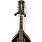 Used Michael Kelly MANDOLIN AO Natural Mandolin