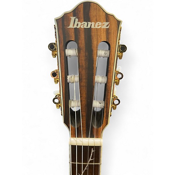 Used Ibanez TOD10N Charcoal Classical Acoustic Electric Guitar