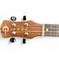 Used Luna HIGH TIDE Brown Ukulele