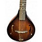 Used Washburn M106SWK Mahogany Mandolin