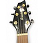 Used Breedlove Performer Pro Cocert TCE Bourbon Burst Acoustic Electric Guitar