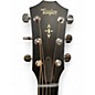 Used Taylor BUILDER'S EDITION 517 WILD HONEY SUNBURST Acoustic Guitar