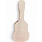 Used Gator Wood Dreadnaught Pink “Gator” Finish Acoustic Guitar Case