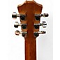 Used Taylor Baby Mahogany Acoustic Guitar