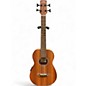 Used Cordoba mini ii bass mh-e Natural Acoustic Bass Guitar thumbnail