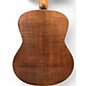 Used Taylor GT URBAN ASH Natural Acoustic Guitar