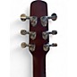 Used Seagull ENTOURAGE AUTUMN BURST AUTUMN BURST Acoustic Guitar