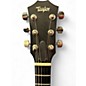 Used Taylor T5Z Classic Mahogany Acoustic Electric Guitar