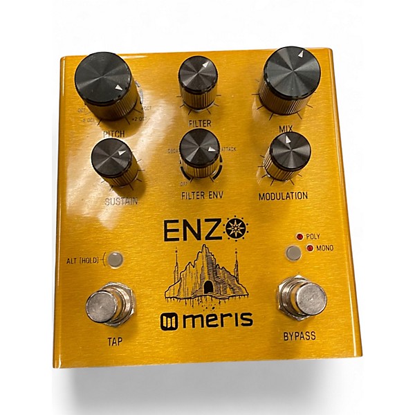 Used Meris Enzo Effect Pedal