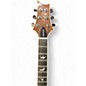 Used PRS HOLLOWBODY SE PIEZO DOG HAIR Hollow Body Electric Guitar