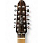 Used Cozart T12 BROWN Solid Body Electric Guitar