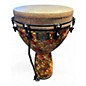 Used Remo leon mobley Djembe