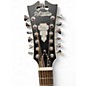 Used D'Angelico Premier Series 12 String Brown 12 String Acoustic Guitar
