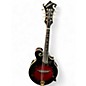 Used Washburn M3SWET F Style RED Mandolin thumbnail