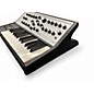 Used Moog SUB PHATTY Synthesizer