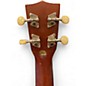 Used Makala Concert Uke Wood Ukulele