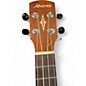 Used Alvarez GDUC-Remix Grateful Dead Ukulele