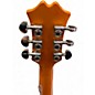 Used Agile COOL CAT Orange Hollow Body Electric Guitar