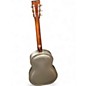 Used Regal RC-43 BRUSHED METAL Resonator Guitar