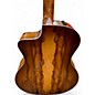 Used Taylor 214CE Deluxe Special Edition HONEY SUNBURST Acoustic Electric Guitar