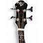 Used Michael Kelly Dragonfly 4 smoke burst Acoustic Bass Guitar