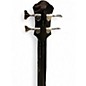 Used Michael Kelly Dragonfly 4 smoke burst Acoustic Bass Guitar