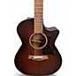 Used Taylor AD24ce Mahogany Acoustic Electric Guitar