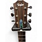 Used Taylor GS Mini Mahogany Mahogany Acoustic Guitar