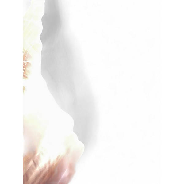 Used 2007 Squier Affinity Telecaster Butterscotch Blonde Solid Body Electric Guitar