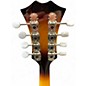 Used Morgan Monroe MF-6 2 Color Sunburst Mandolin