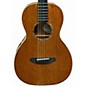 Used Breedlove CUSTOM P10/MM Mahogany Acoustic Guitar