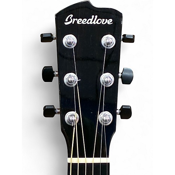 Used Breedlove CUSTOM P10/MM Mahogany Acoustic Guitar